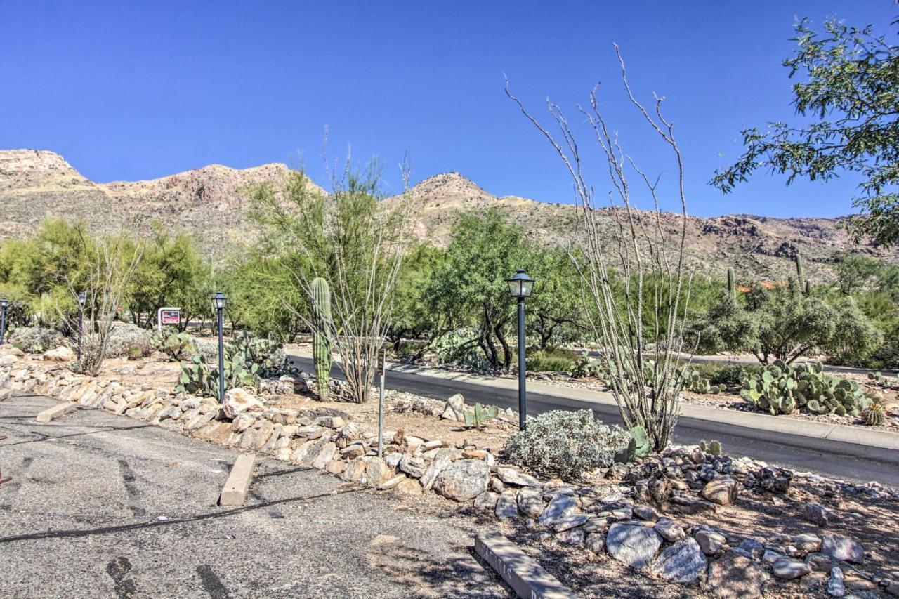 Catalina Foothills, Tucson Valley Hub With View Екстериор снимка